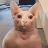 chalovaaa
