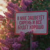 Бабушкин ларчик