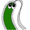 м.микроб