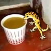 Flushi