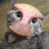 2515