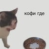 стрельникова.