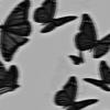 _Manera_