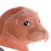 Однажды мудрец сказал