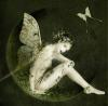 Introspecta