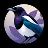 Magpie Madness