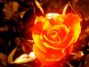 fiery fire