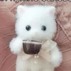 Dari_Lau