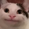 Олегъ___