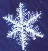 Snow22