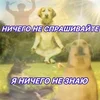 Д4нечк4