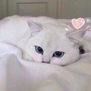 _SnOwY_KiNdEr_