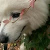 Агата_Фельцман