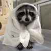 Александра Вознесенская