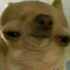 Дерц