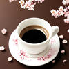 CoffeeSakura