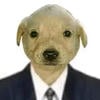 почему потому почему