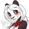 Panda__DI