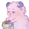 Choco Mint