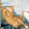 katikooo