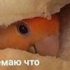 эм ну я тут пишу чота