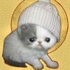 Кофе с печеньем
