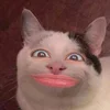 Ozammi