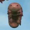 Atomic_casmere