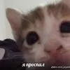 Gonzi_GYAT