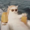 просто незнакомка