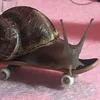 кевви
