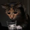 Coffee.0k