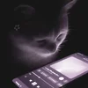 Виктория Котловская