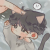 lilmeow.meeow