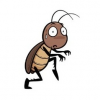 23Cockroaches