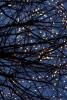 Lights in me