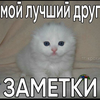 Teskopy