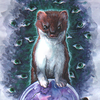 Stoat_Thunder