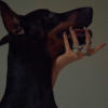 belowthesky