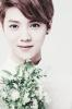 Luhan95