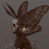 furry moth