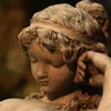 Danea