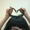 reallangl_