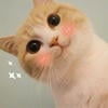 hiovno_UwU