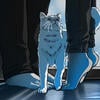 blue-bubble