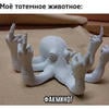 Николась вЭган
