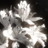 Vikaexe28_806