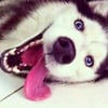 Ival