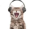 miAy_Cat
