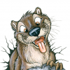 Little Beaver